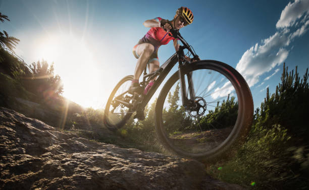 Cómo elegir una bicicleta de montaña y mejores marcas